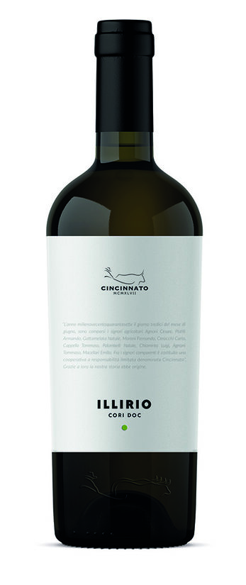 Illirio Cori DOC 2024